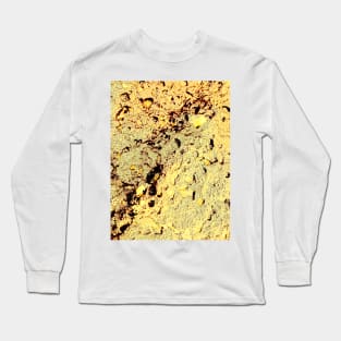 Golden Glaze Long Sleeve T-Shirt